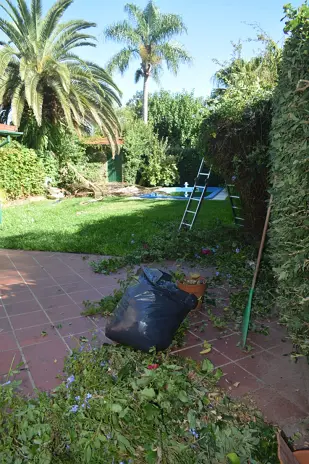 🌿 Recuperación de Jardín: Limpieza de Enredaderas y Cercos en Beccar - Buenos Aires - imagen 12