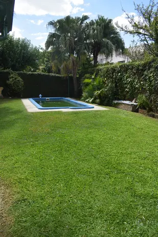 🌿 Recuperación de Jardín: Limpieza de Enredaderas y Cercos en Beccar - Buenos Aires - imagen 14