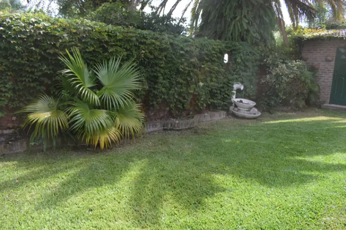 🌿 Recuperación de Jardín: Limpieza de Enredaderas y Cercos en Beccar - Buenos Aires - imagen 15