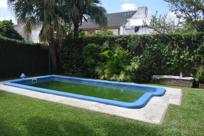 🌿 Recuperación de Jardín: Limpieza de Enredaderas y Cercos en Beccar - Buenos Aires - imagen 17