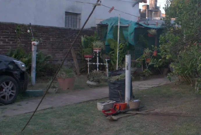Servicio de Mantenimiento de Jardines - imagen 2