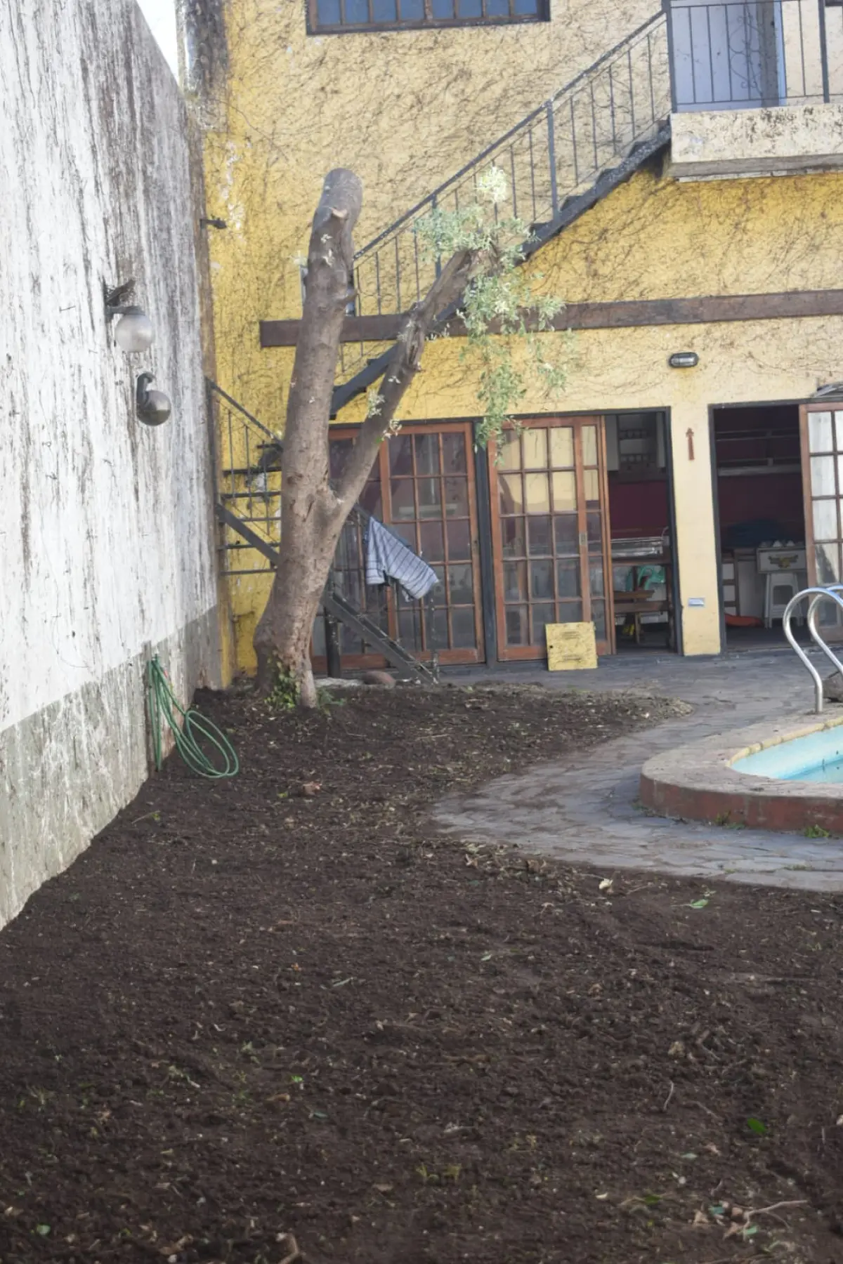 Poda de Altura y Nivelación de Terreno