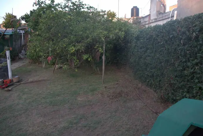 Servicio de Mantenimiento de Jardines - imagen 3