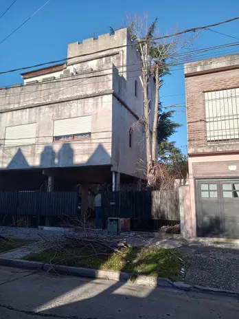 Servicio de Poda de Árboles en Buenos Aires - imagen 2