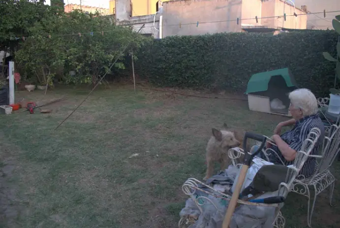Servicio de Mantenimiento de Jardines - imagen 7