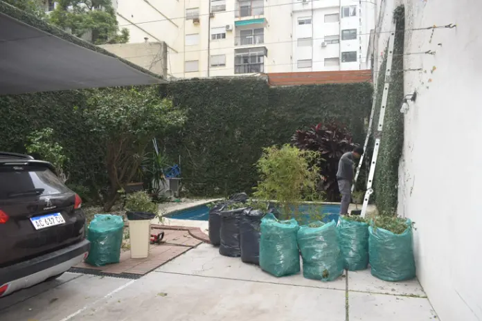 Corte de Enredadera y Mantenimiento de Jardín en un Consorcio de Parque Chacabuco - imagen 1