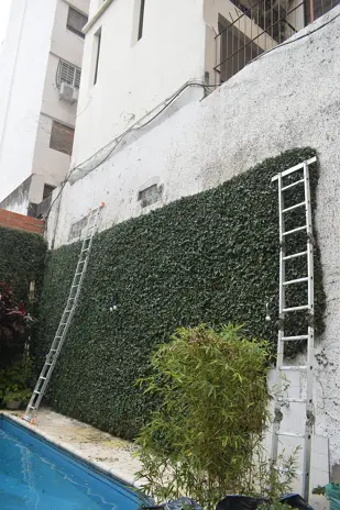 Corte de Enredadera y Mantenimiento de Jardín en un Consorcio de Parque Chacabuco - imagen 2
