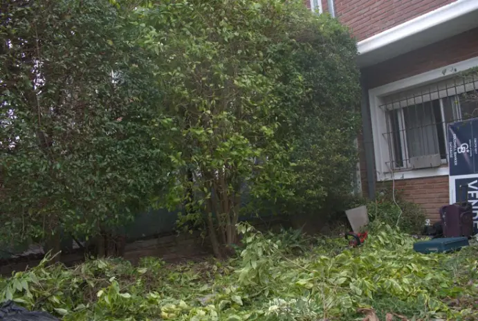 Servicio de Jardinería en Beccar - imagen 2