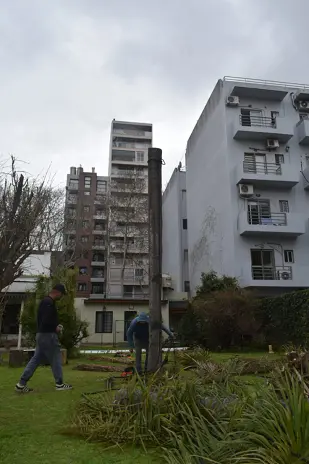 Retiro de Palmera en el Patio de una Vivienda en San Martín - imagen 8