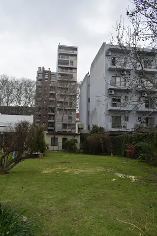 Retiro de Palmera en el Patio de una Vivienda en San Martín - imagen 11