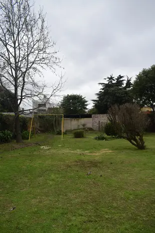 Retiro de Palmera en el Patio de una Vivienda en San Martín - imagen 12