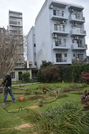 Retiro de Palmera en el Patio de una Vivienda en San Martín - imagen 15