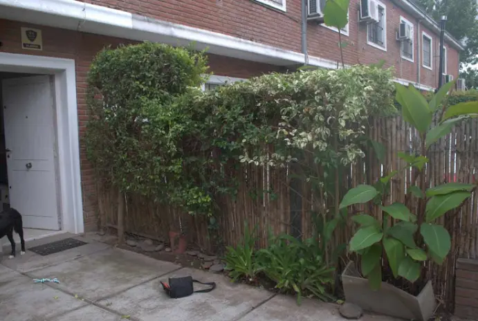 Servicio de Jardinería en Beccar - imagen 7