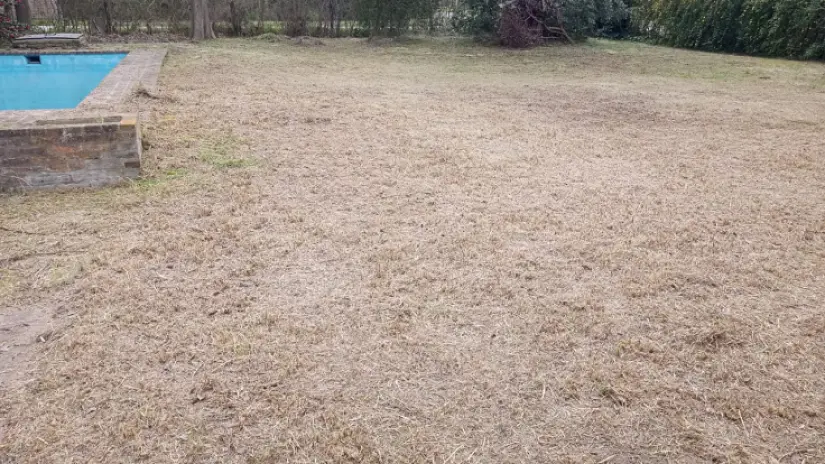 Desmalezado y Limpieza de Jardín en Maschwitz - imagen 3