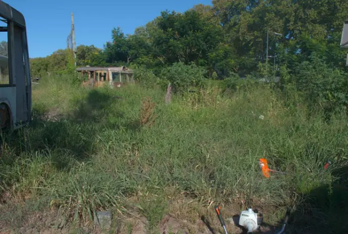 Desmalezado de Terrenos - imagen 1