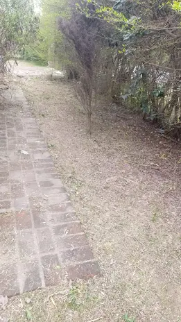 Desmalezado y Limpieza de Jardín en Maschwitz - imagen 9