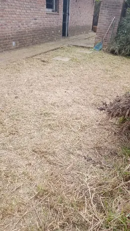 Desmalezado y Limpieza de Jardín en Maschwitz - imagen 10