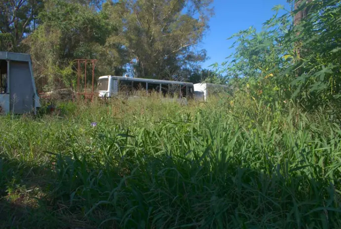 Desmalezado de Terrenos - imagen 2