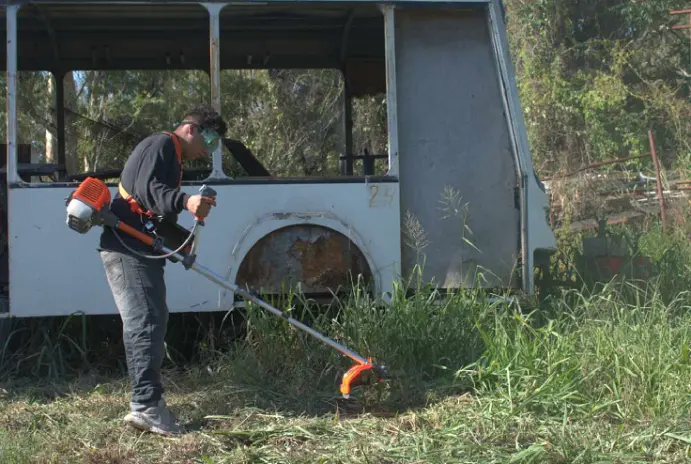 Desmalezado de Terrenos - imagen 3