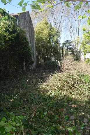 Desmalezado de un Terreno Abandonado en Belgrano: 600 m² Recuperados - imagen 2