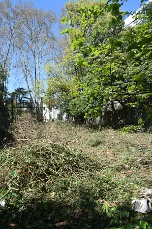 Desmalezado de un Terreno Abandonado en Belgrano: 600 m² Recuperados - imagen 3