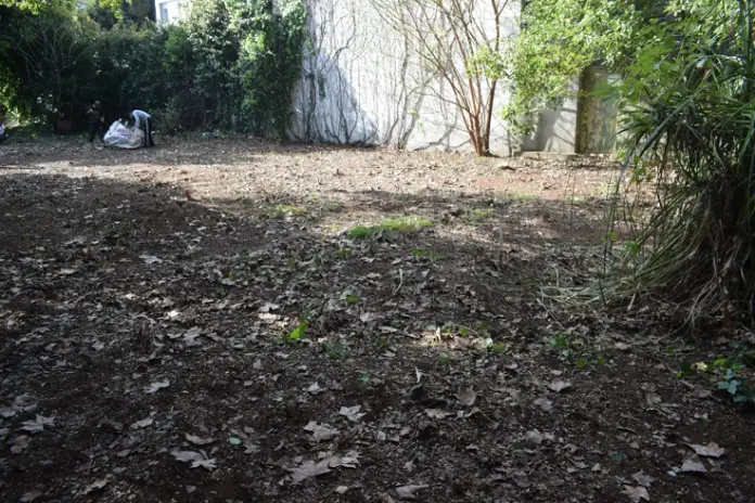 Desmalezado de un Terreno Abandonado en Belgrano: 600 m² Recuperados - imagen 7