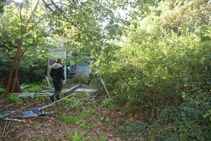 Desmalezado de un Terreno Abandonado en Belgrano: 600 m² Recuperados - imagen 8