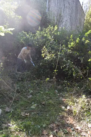 Desmalezado de un Terreno Abandonado en Belgrano: 600 m² Recuperados - imagen 12
