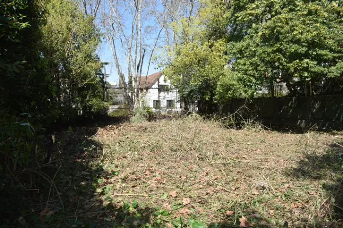 Desmalezado de un Terreno Abandonado en Belgrano: 600 m² Recuperados - imagen 15