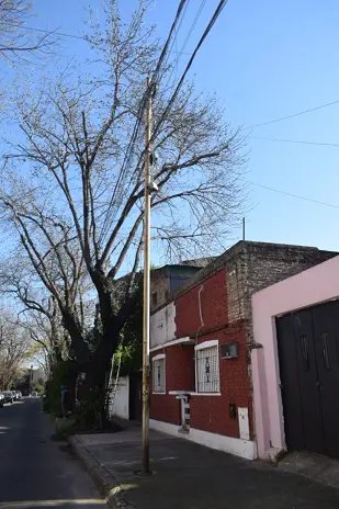 Poda de Árbol de Gran Tamaño en Villa Urquiza: Ramas Peligrosas Eliminadas - imagen 9