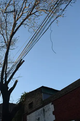 Poda de Árbol de Gran Tamaño en Villa Urquiza: Ramas Peligrosas Eliminadas - imagen 11