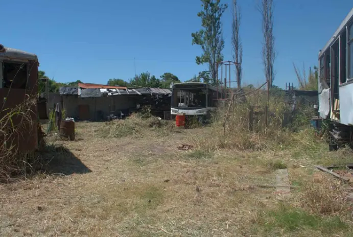 Desmalezado de Terrenos - imagen 10