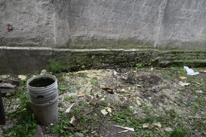 Corte de 3 Moreras Mal Ubicadas en Ballester, San Martín - imagen 2