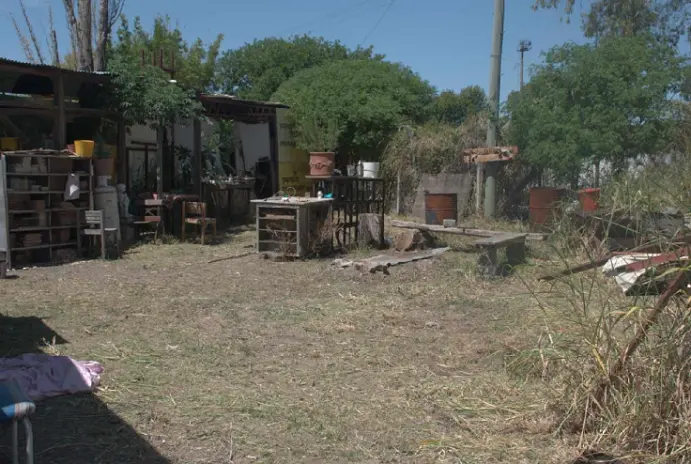 Desmalezado de Terrenos - imagen 11