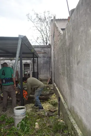 Corte de 3 Moreras Mal Ubicadas en Ballester, San Martín - imagen 13