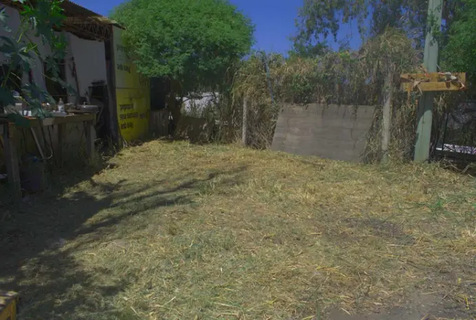 Desmalezado de Terrenos - imagen 12