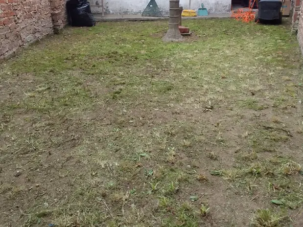 Servicio de Corte y Mantenimiento de Pasto en Beccar - imagen 2