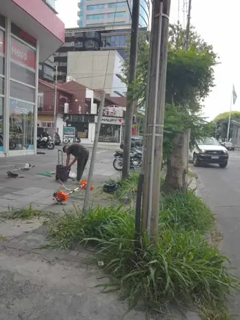 Limpieza de Vereda en Vicente López
