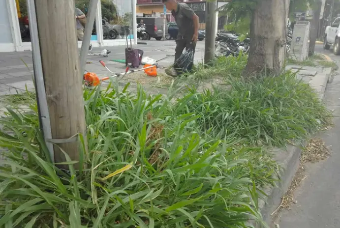 Limpieza de Vereda en Vicente López - imagen 1