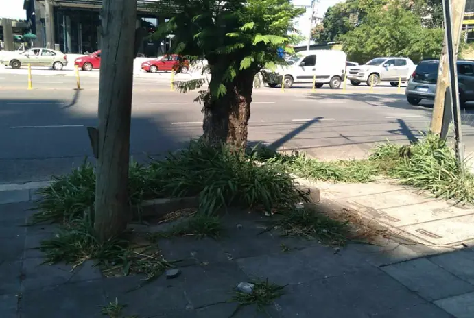 Limpieza de Vereda en Vicente López - imagen 2