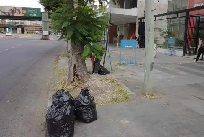 Limpieza de Vereda en Vicente López - imagen 3