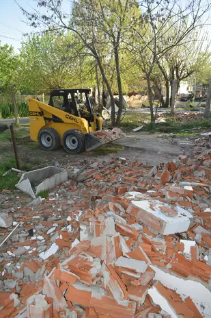 Retiro de Escombros y Nivelación de Terreno en Rincón de Milberg, Tigre - imagen 18