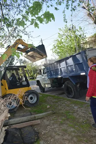 Retiro de Escombros y Nivelación de Terreno en Rincón de Milberg, Tigre - imagen 19