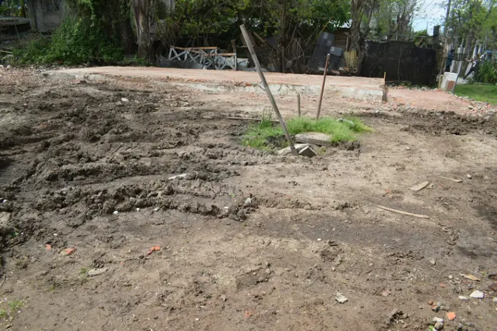 Retiro de Escombros y Nivelación de Terreno en Rincón de Milberg, Tigre - imagen 23