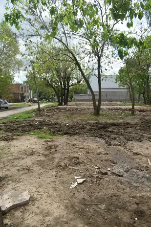Retiro de Escombros y Nivelación de Terreno en Rincón de Milberg, Tigre - imagen 24