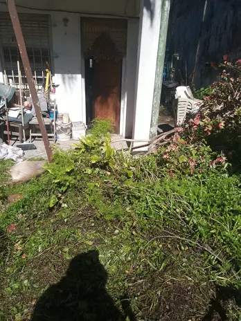 Limpieza de Jardín y Desmalezado en Saavedra - imagen 3