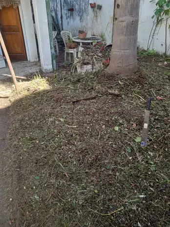 Limpieza de Jardín y Desmalezado en Saavedra - imagen 11