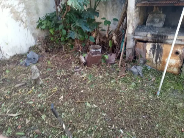 Limpieza de Jardín y Desmalezado en Saavedra - imagen 13