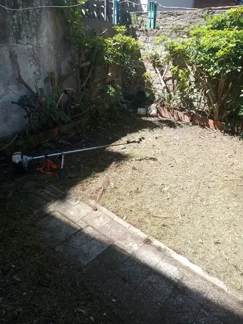 Limpieza de Jardín y Desmalezado en Saavedra - imagen 14