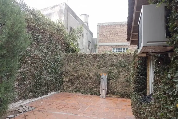 Poda y Corte de Cerco en Villa Ballester - imagen 2